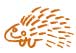 porcupine